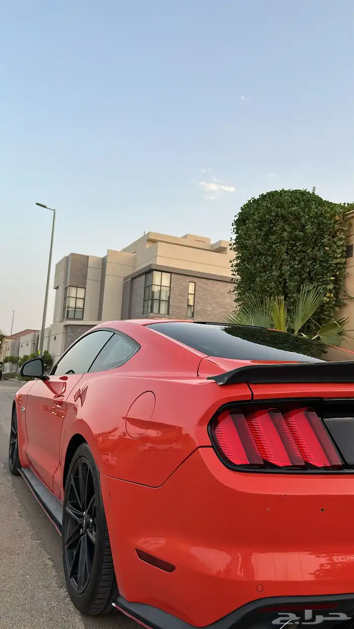 موستنق GT مالك ثاني 7
