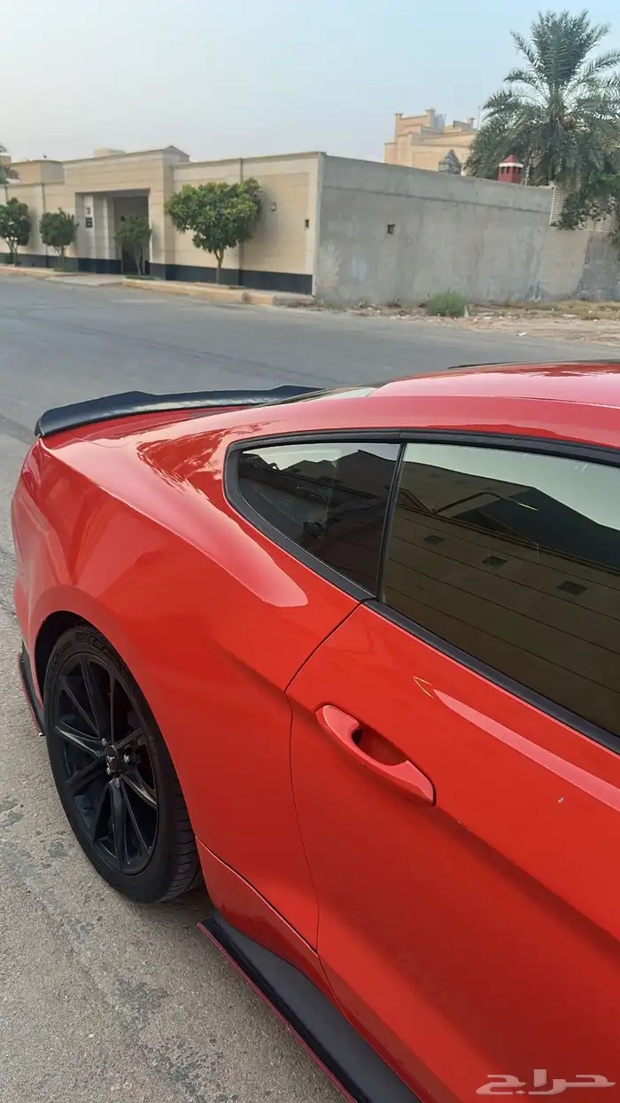 موستنق GT مالك ثاني 5