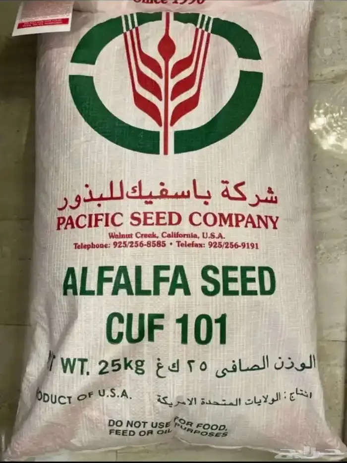 بذور برسيم ( باسفيك ) 0