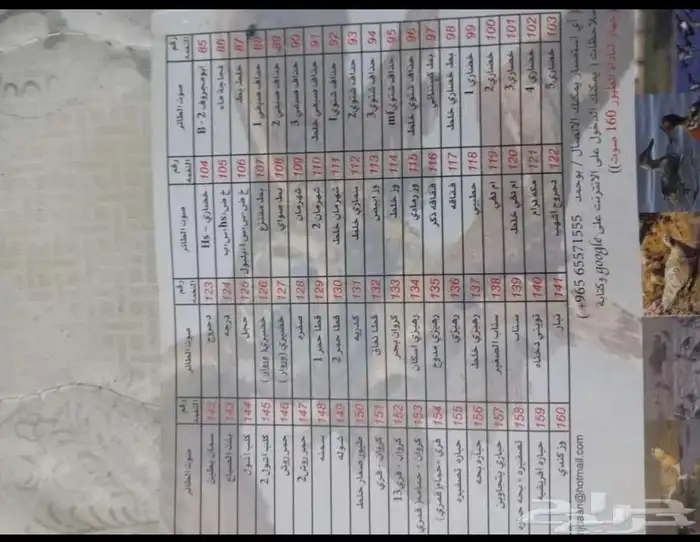 جهاز أبو طير أصلي وارد الكويت يسمونه أبو حمد 5