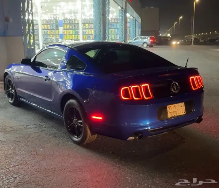 موستنج 2014 1