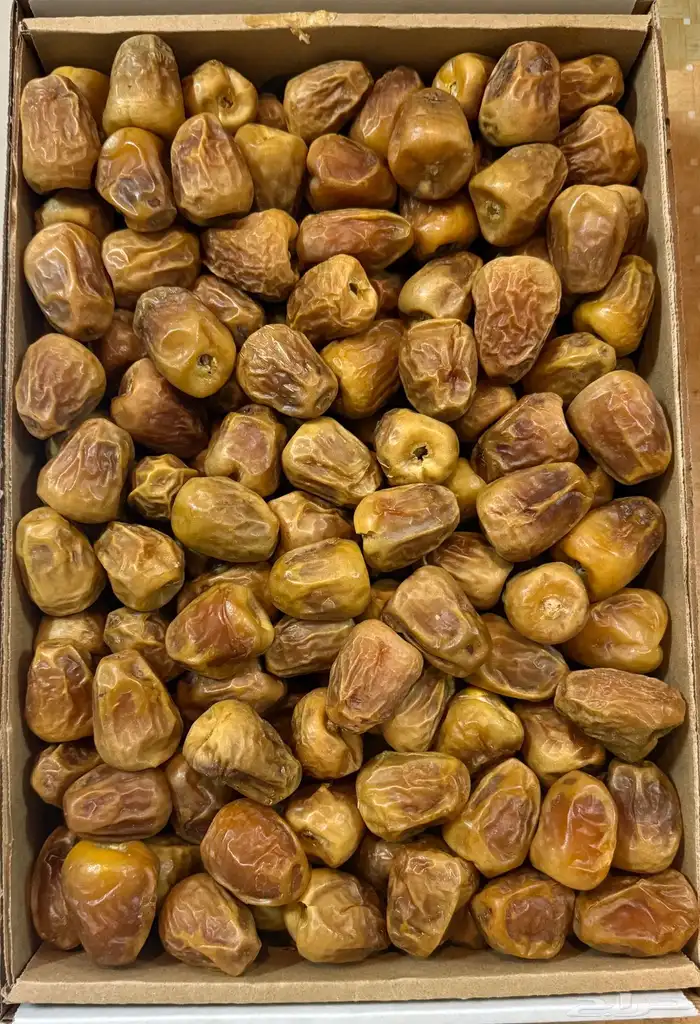 سكري مفتل فاخر 0