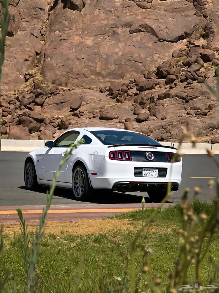 MUSTANG GT 3