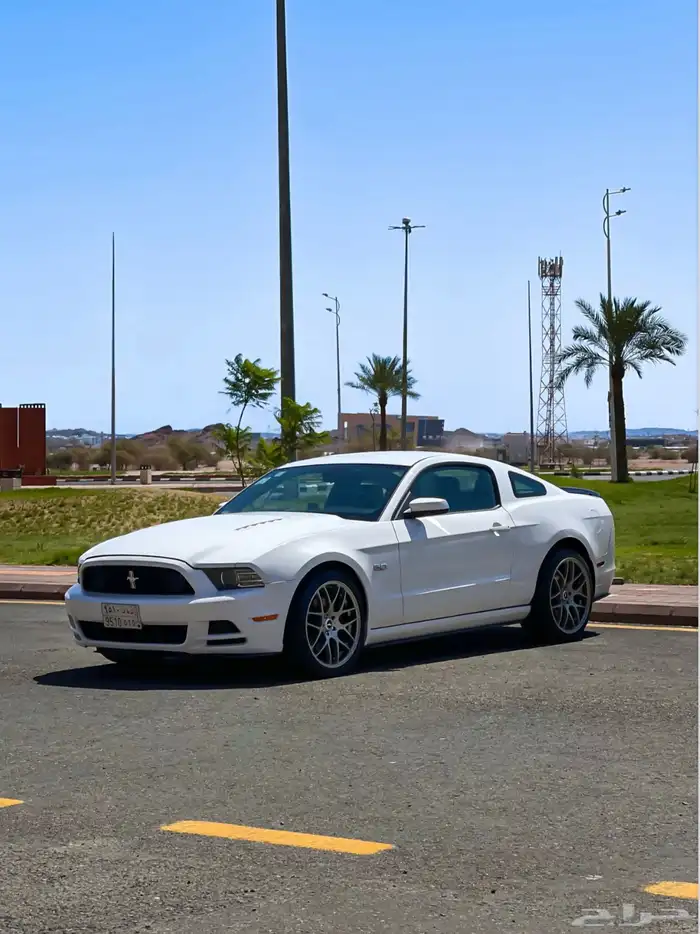 MUSTANG GT 2