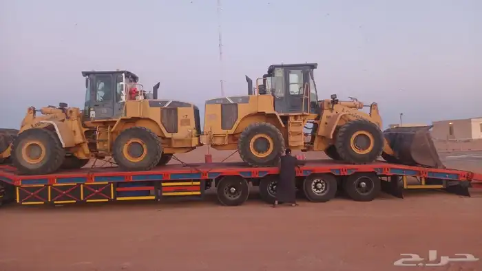 شيولات لونق للبيع 0