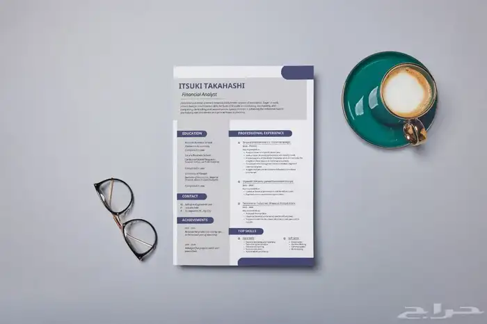 سيرة ذاتية   سي في CV 13