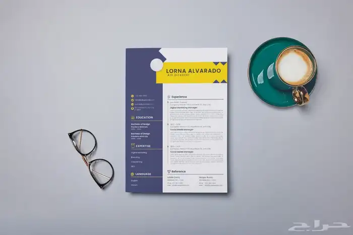 سيرة ذاتية   سي في CV 8