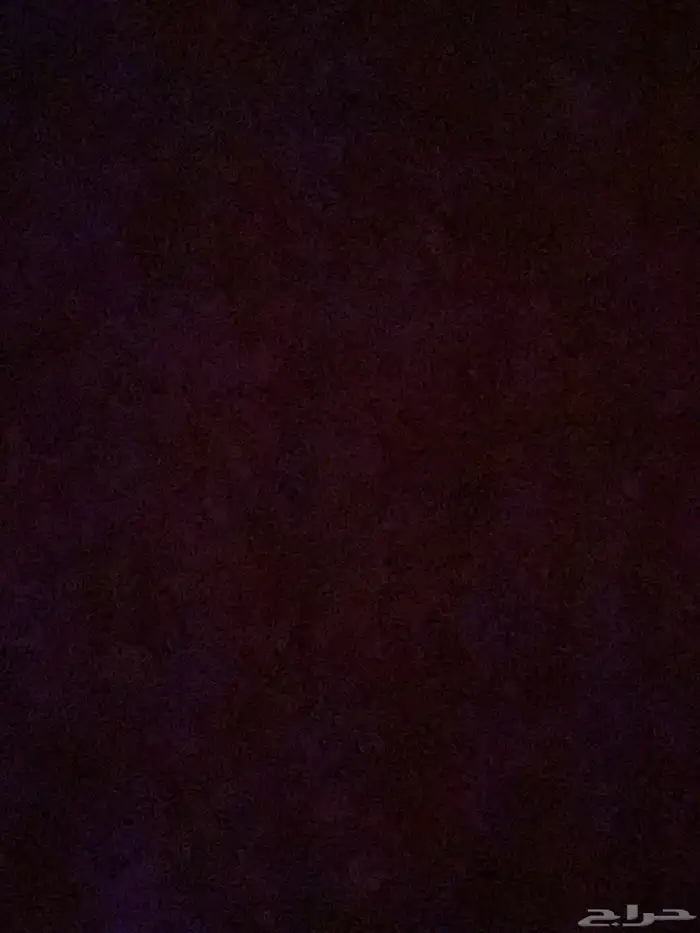 مطلوب دباب بطه 0