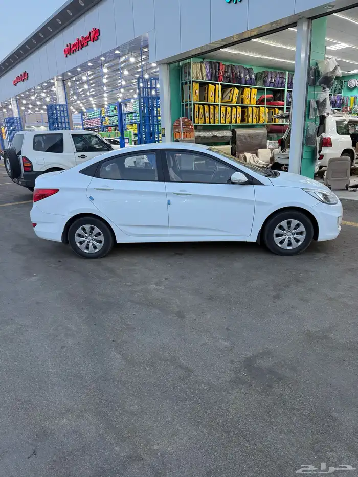 بيشه 2