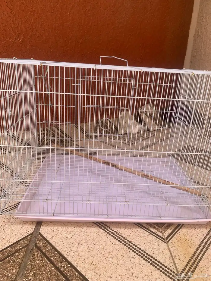 قفص طيور او قطط 0