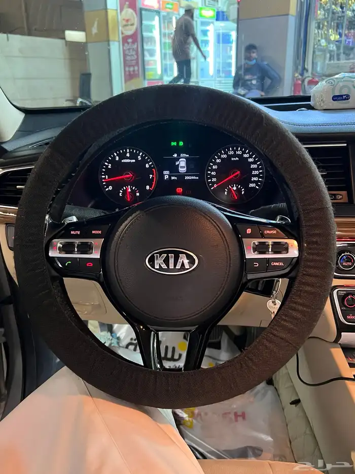 كادنزا 2018 4