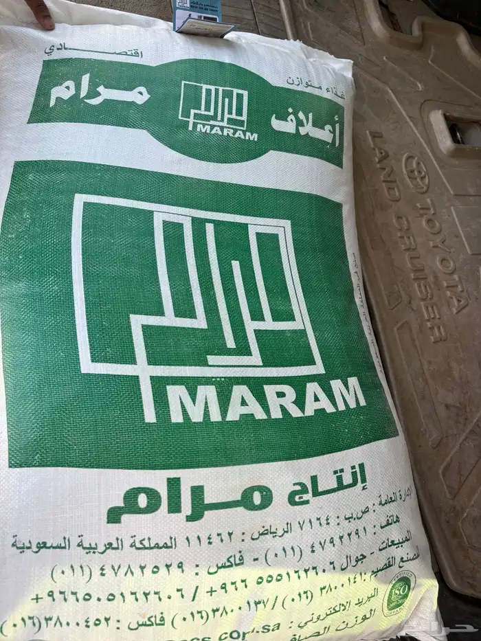 حمام زاجل 2