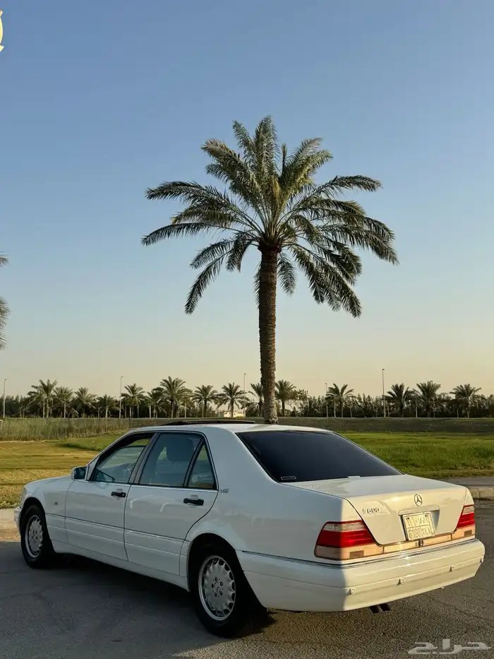 للبيع مرسيدس مديل 97 22