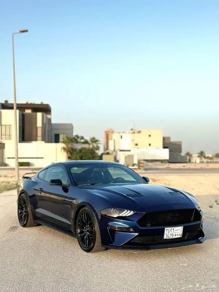 موستنج للبيع 8