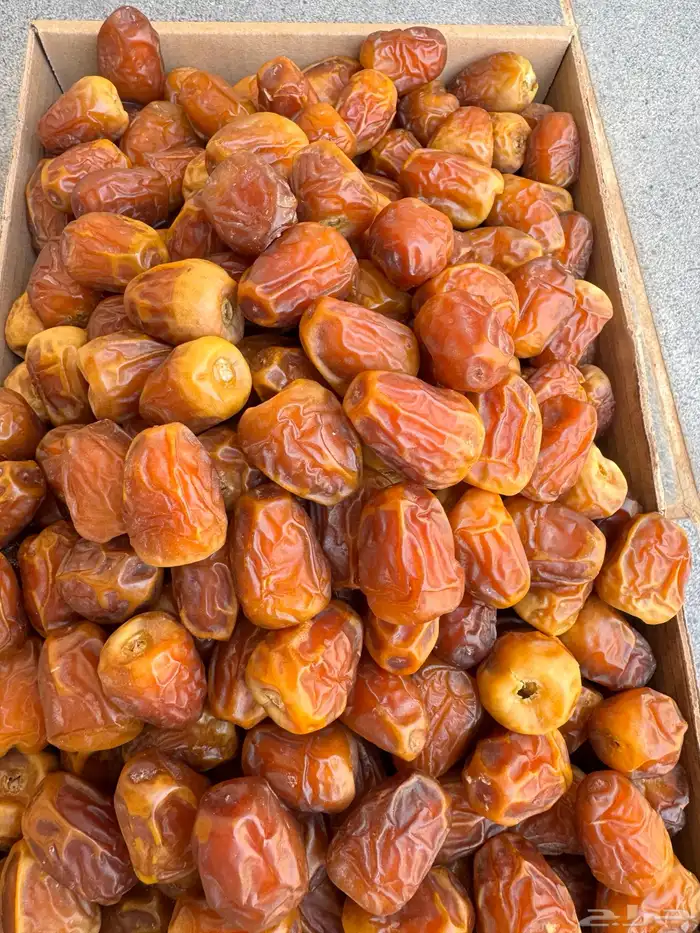 تمر سكري جالكسي فاخر ومفتل درجة اولى 2