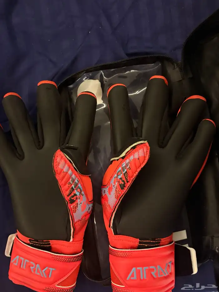 قفازات روش مقاس 8 0