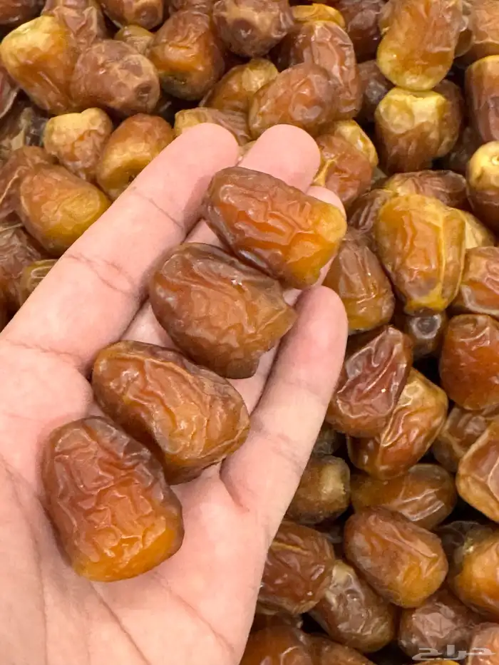تمر سكري جالكسي فاخر ومفتل درجة اولى 3