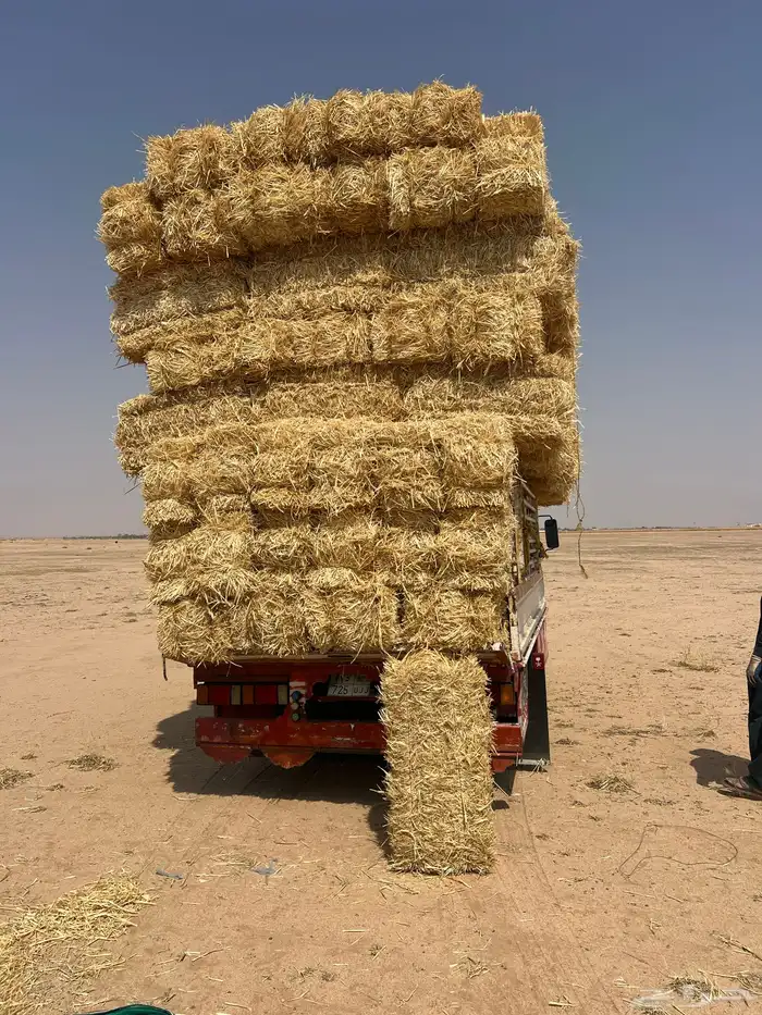تبن بر صافي ناعم 0