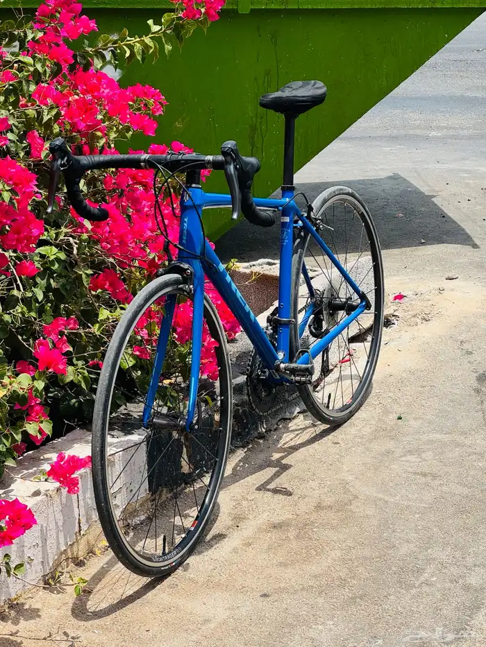 Trek domane Al 2 0