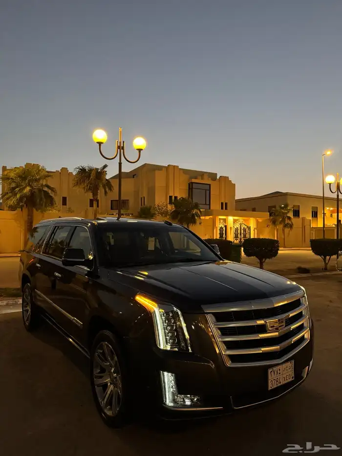 اسكاليد 2019 بريميوم (ملكي) الجميح نظيف جدا 62