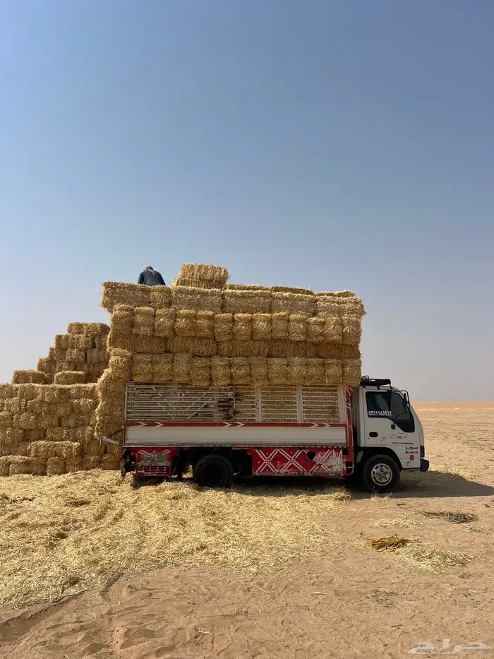 تبن بر صافي 2