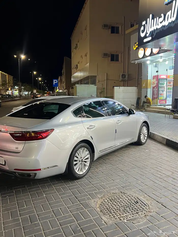 كادنزا 2018 1