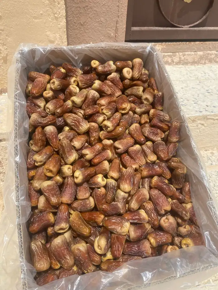 برني العيص( رقم1 الملكي الفاخر ) لتواصل - 1