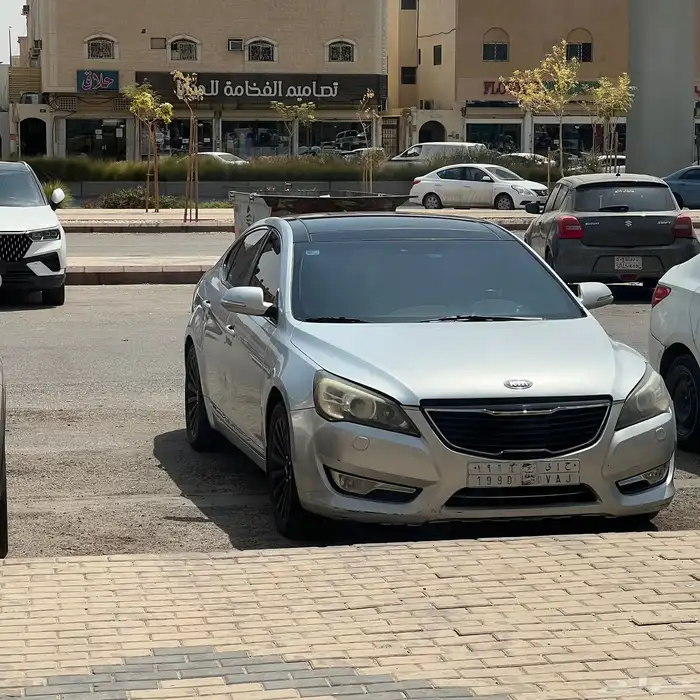 كادينزا 2013 0