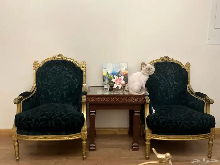 طقم فرنسي خشب صوف كبير و 4 كراسي 1