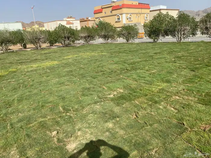 تركيب وصيانه ليات (زيل طبيعي  برسيم  طماطم وخضروات ) 2