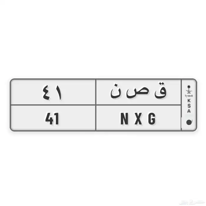 لوحة رقمين ( ق ص ن 41 ) 1
