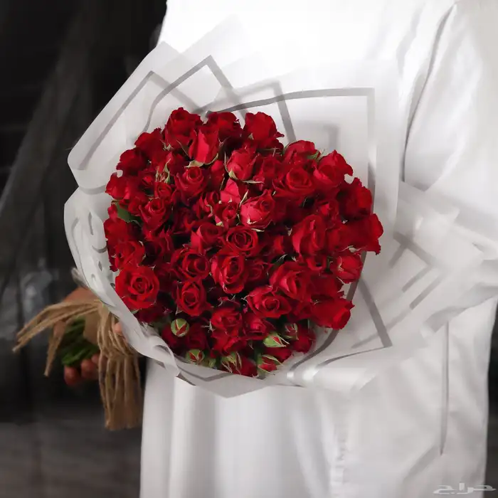مندوب بكل الرياض 1