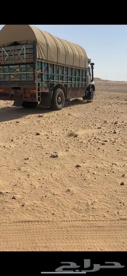 وايت عايدي لوري 2