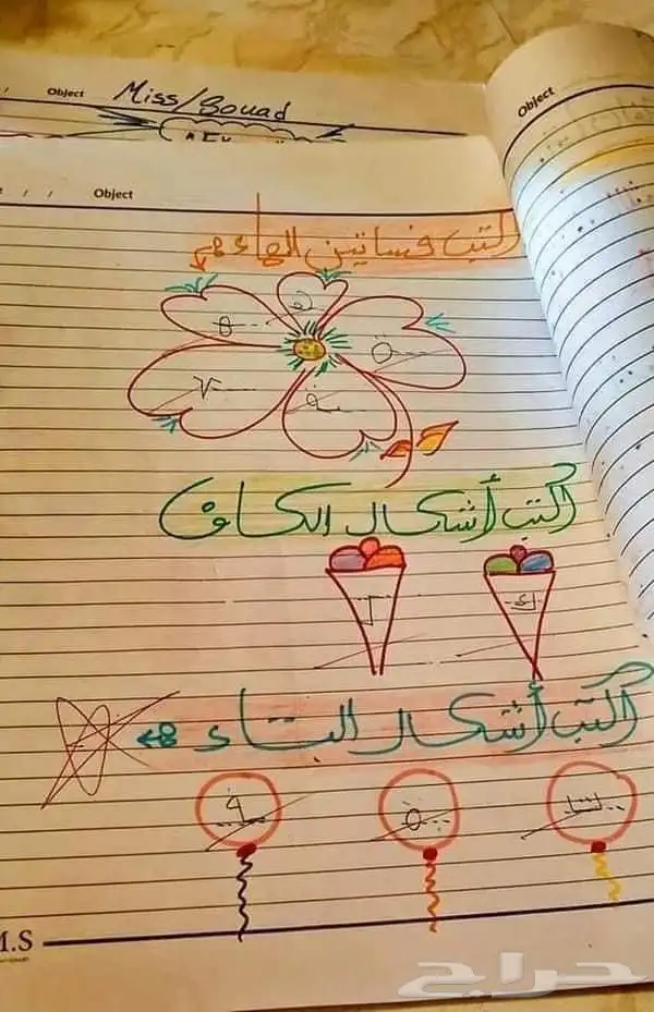 معلمة تأسيس ومتابعة مصرية 2
