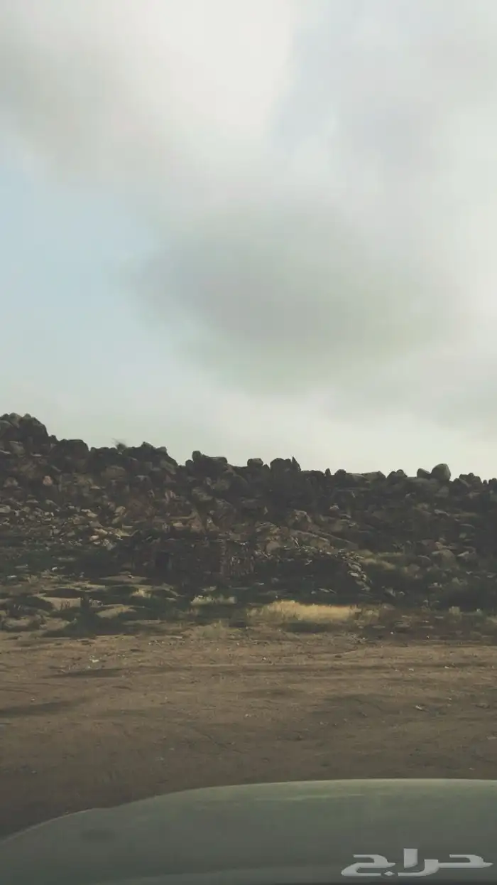 مزرعه بوادي نعمان بصك زراعي 2