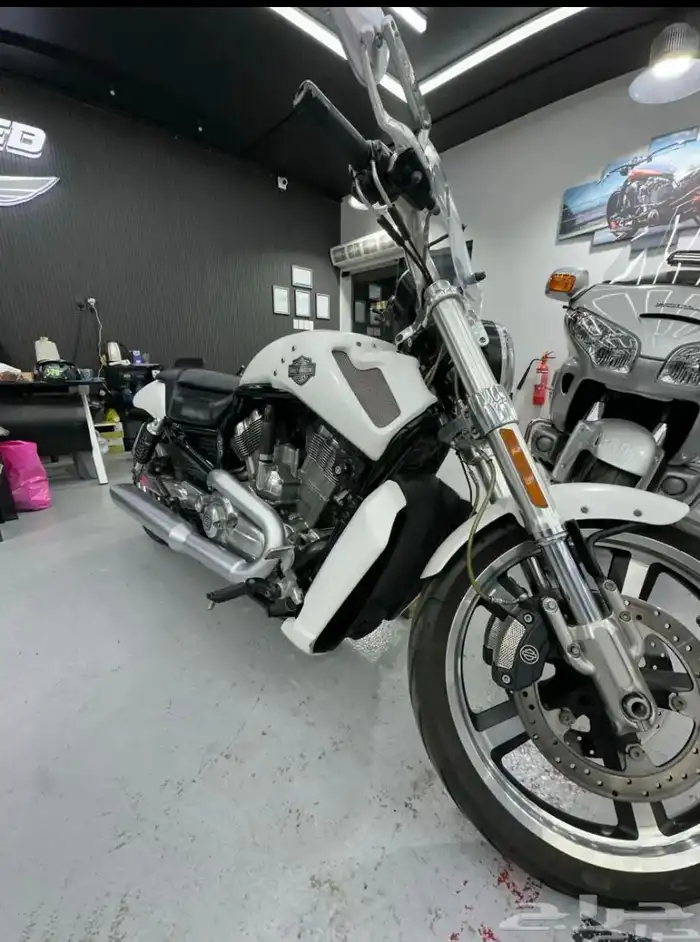 هارلي V-ROD. 2014 5