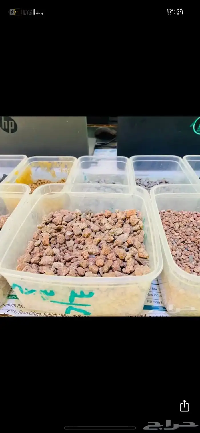 بطحاء حائل بحص حائل 3