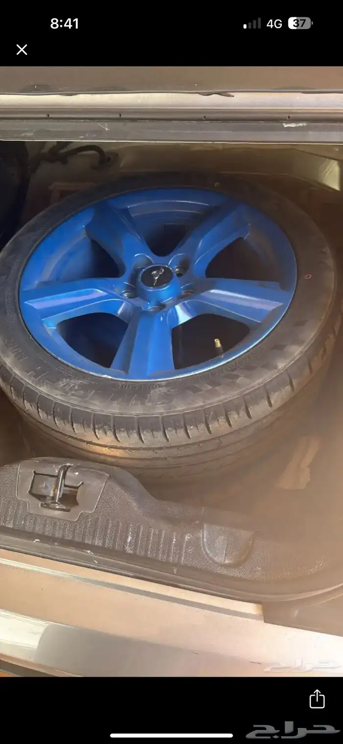 اغراض موستنق gt 11-14 1