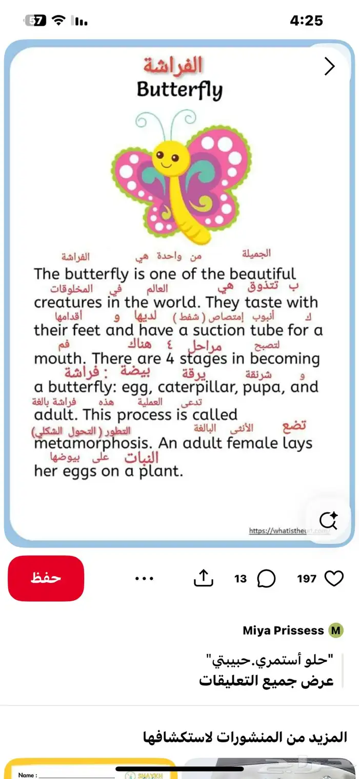 مدرسه لغه انجليزيه متخصصه 0