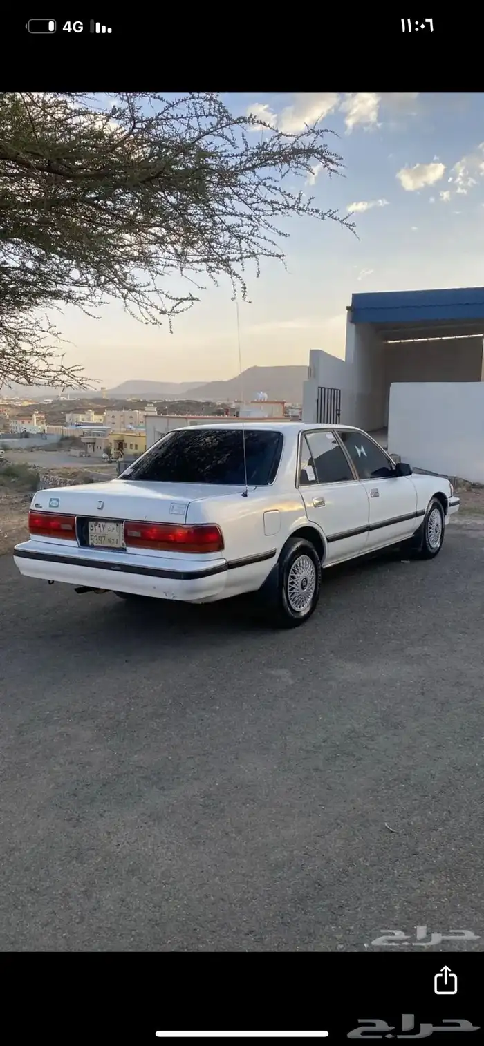 كراسيدا 6