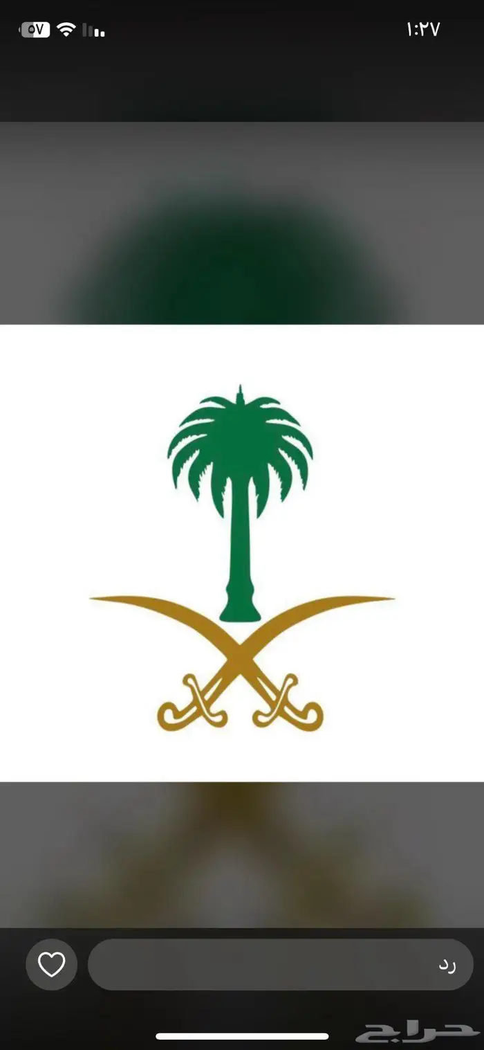 توصيل من المدينة الى حايل 0