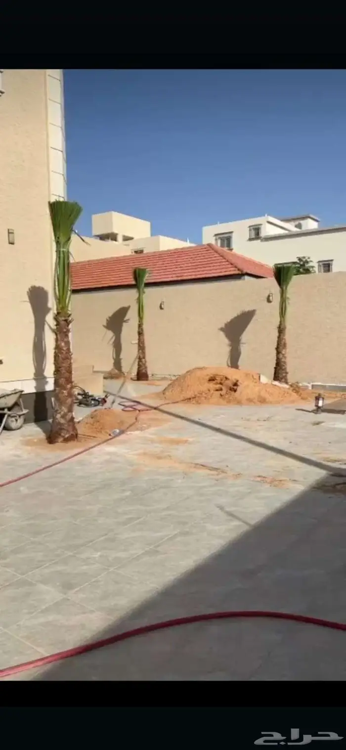 واشنطني توريد وزراعة 19