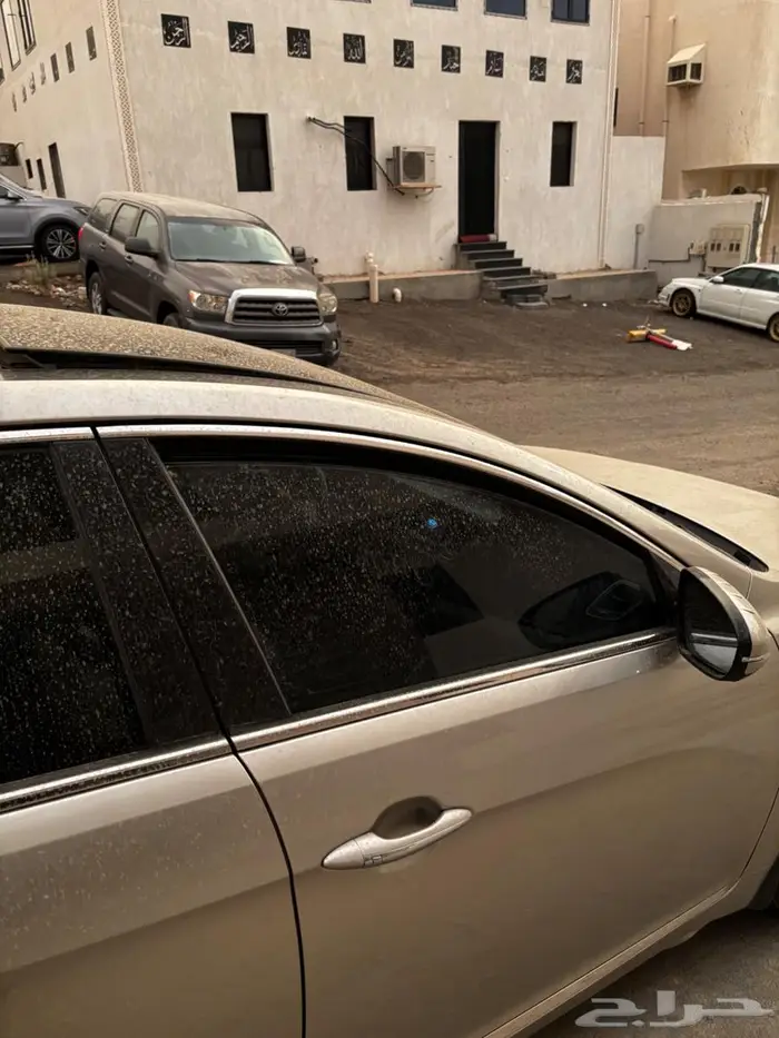كادينزا 2014 7