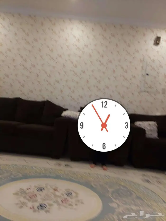 كنب المطلق للبييع بالاحساء 0