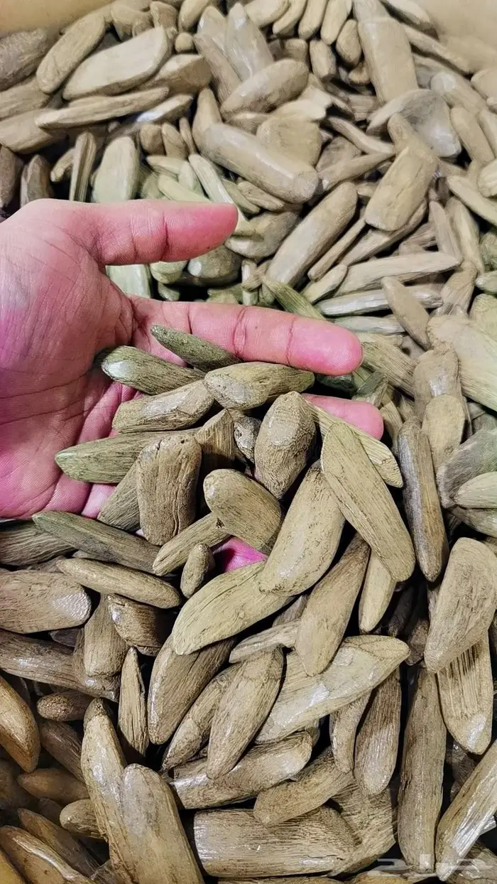 عود مروكي طبيعي محسن بيور 0