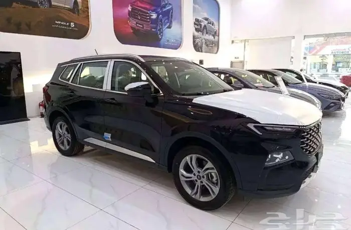 فورد تيريتوري ترند 2025 - متاح اقساط و كاش 3