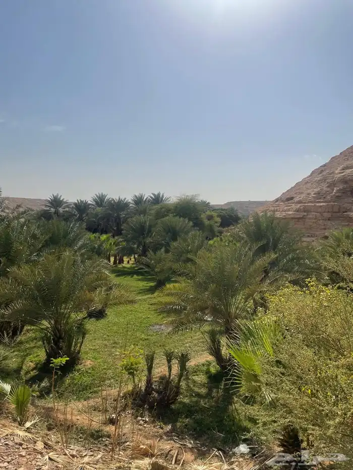 مزرعة للبيع في حي الحائر 0
