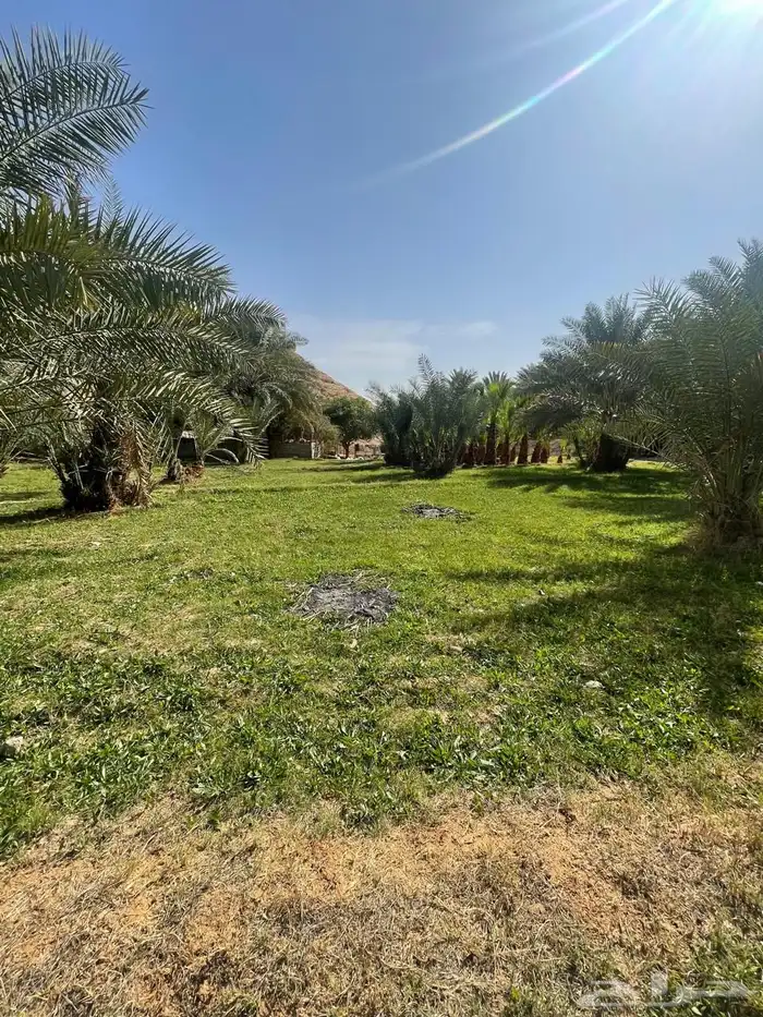 مزرعة للبيع في حي الحائر 3