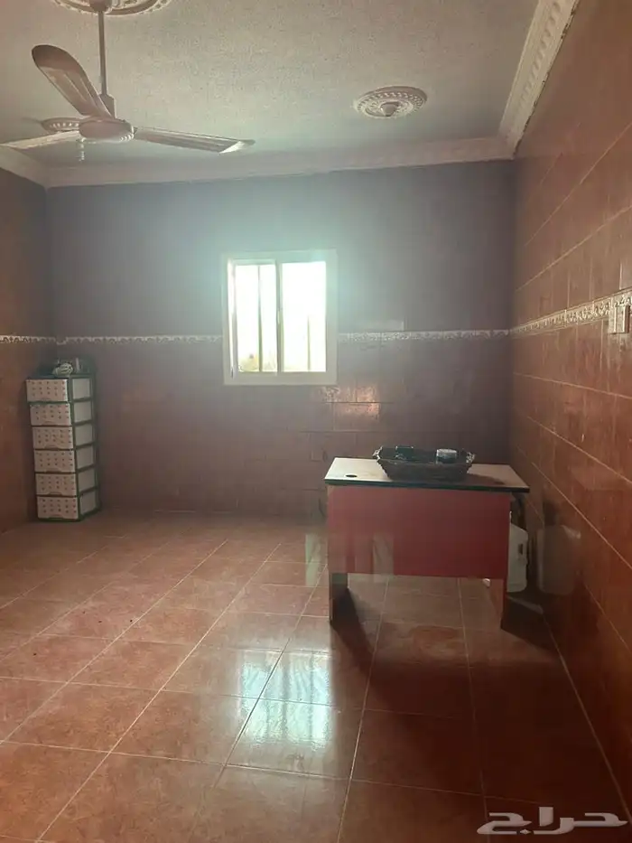 مشغل للتقبيل الموقع محافظة الحائط 2