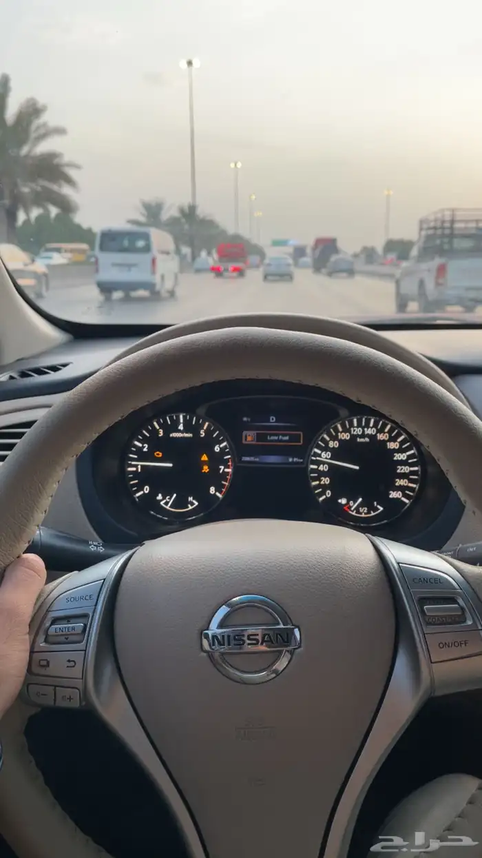 التيما 2017 8